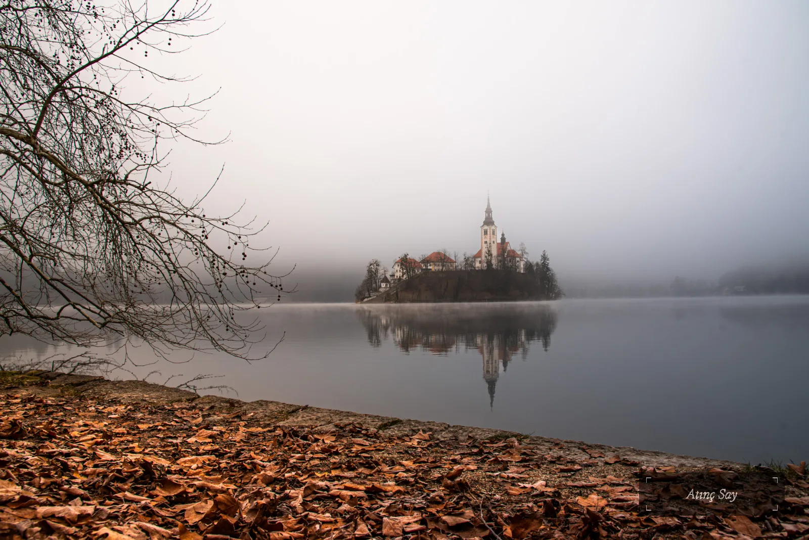 Bled
